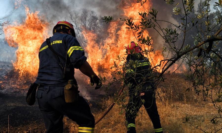 ΔΑΣΙΚΟ ΕΠΙΔΟΜΑ – Η ελάχιστη ένδειξη αναγνώρισης του μεγάλου μας αγώνα.